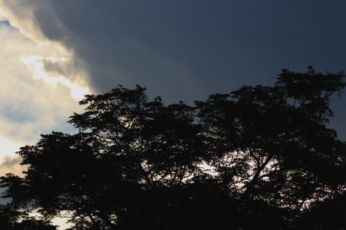 Dark Clouds And Tree