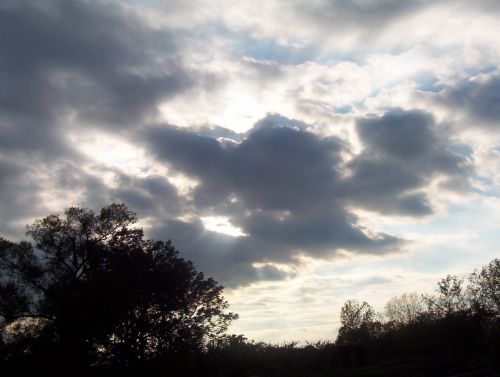 Dark Clouds Over Trees