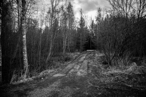 dark country road black and white bw