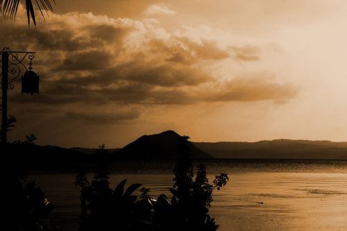 Dark Sepia Nature Background