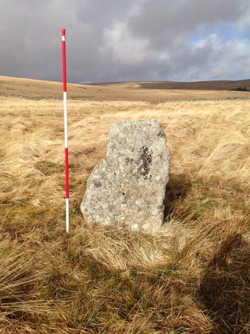 dartmoor stone monolith