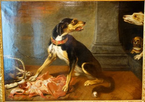david de coninck attacking dogs