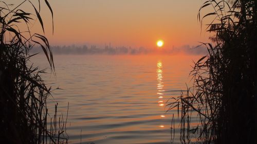 orange sky dawn fog