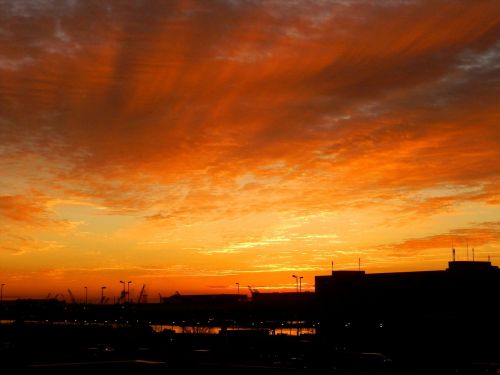 dawn morning silhouette