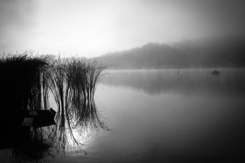 dawn lakeside nature
