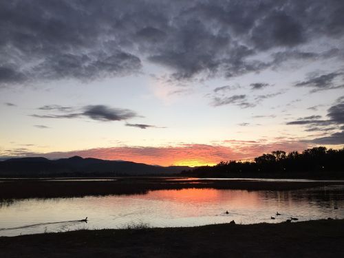 dawn lake nature