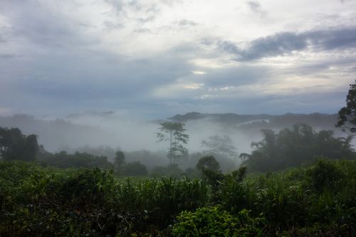 dawn mist clouds