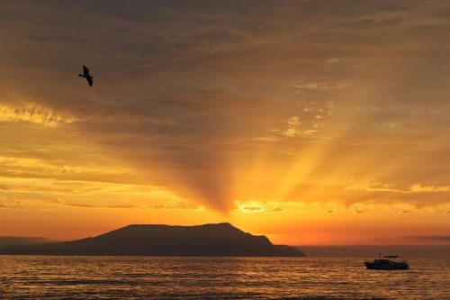 dawn landscape cape