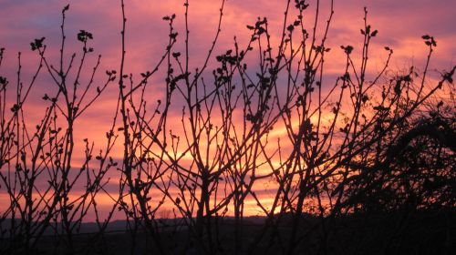 dawn nature landscape