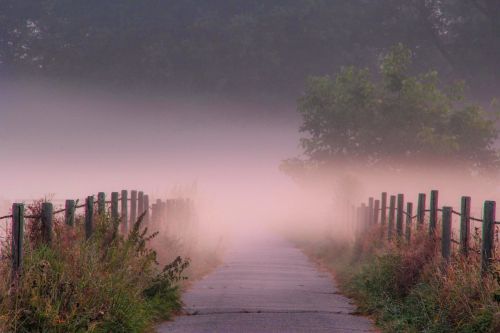 dawn fog landscape