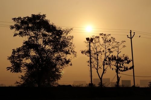 dawn sunset tree