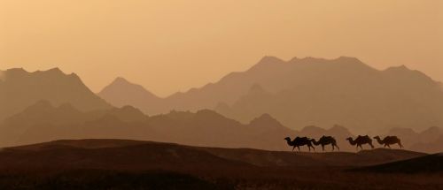 dawn desert sunset
