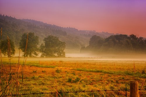 dawn  haze  ground fog