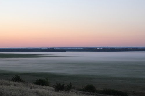 dawn  fog  trees