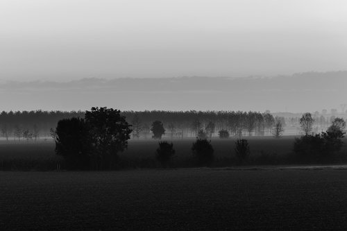 dawn  fog  landscape