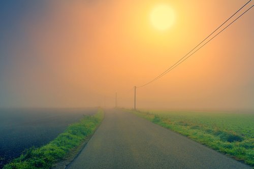 dawn  road  fog