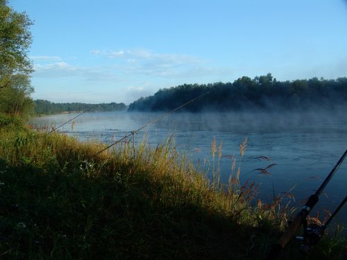 dawn island drava