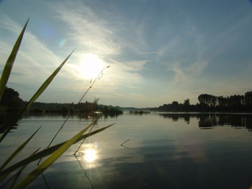 dawn island drava