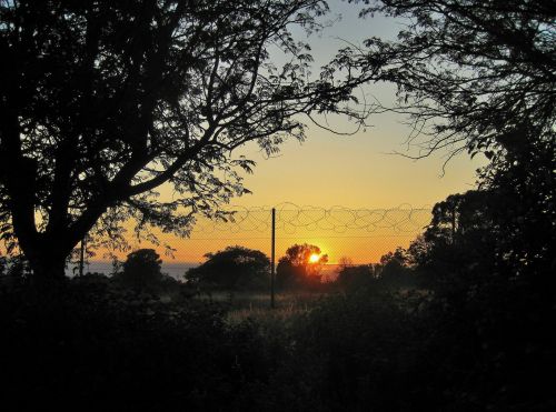 Dawn Behind Fence