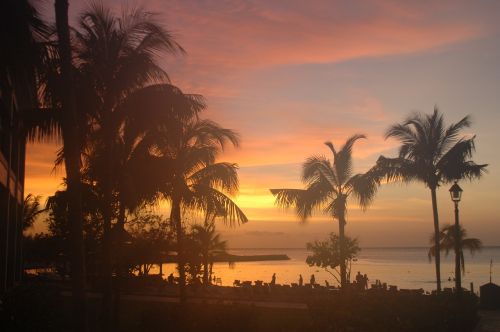 dawn in jamaika beach palms