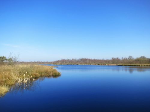 de grote peel nature reserve noord limburg