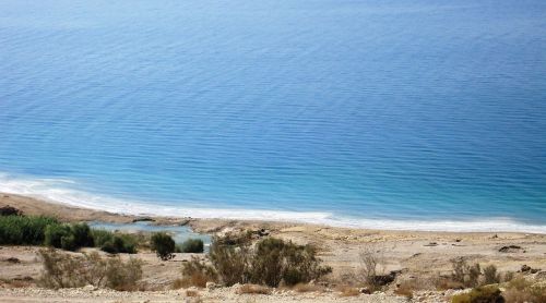 dead sea israel shore