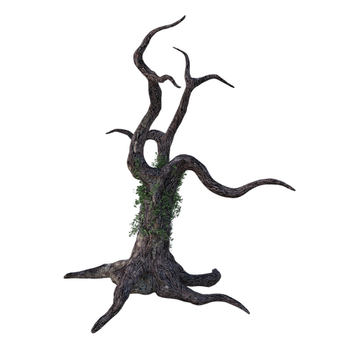 dead tree  bark  ivy