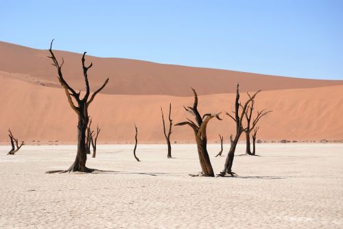 dead vlei namibia desert