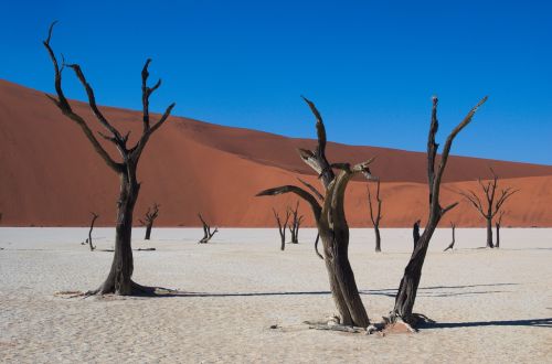 deadvlei namibia desert