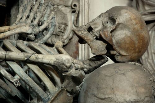 death skull and crossbones skeleton