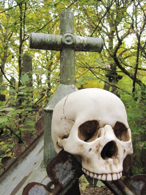 death skull skull and crossbones
