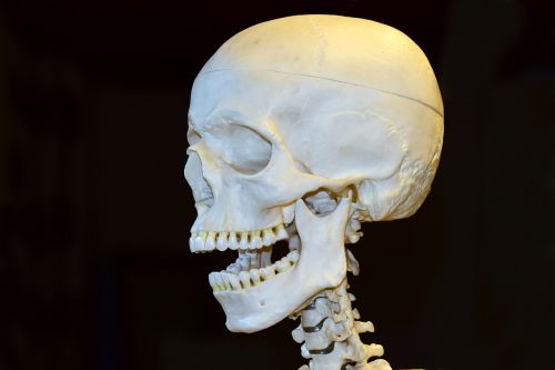 death skull skeleton