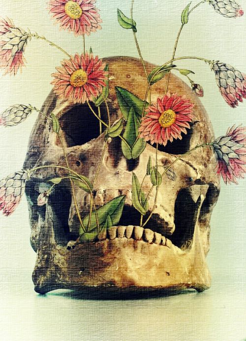 death skull flowers