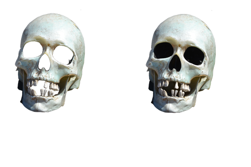 death  once  skull