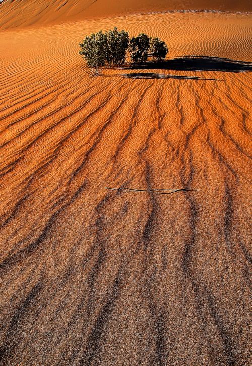 death valley sand nature