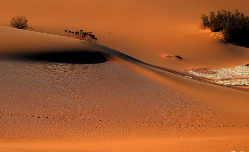 death valley sand nature