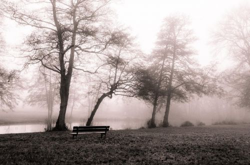 december fog landscape