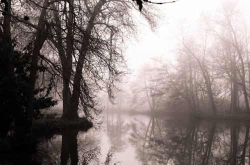 december fog landscape