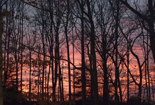 december sunset sunset trees