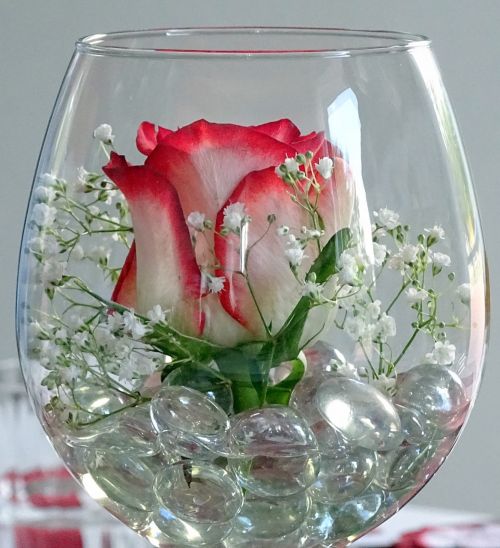 deco rose glass