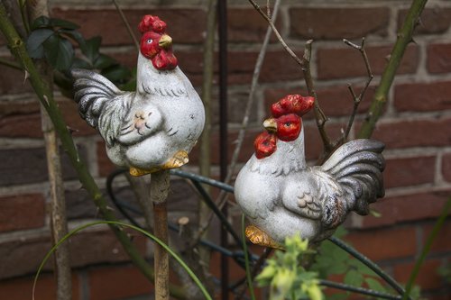 deco  chicken  decoration