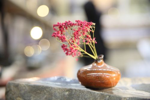 decoration flower arrangement tea