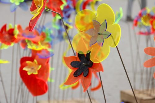 decoration flowers plastic