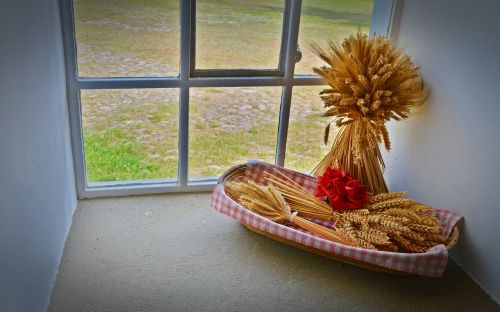 decoration window cereals