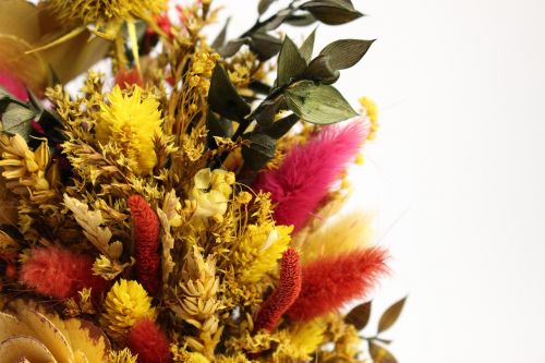 decoration dried grasses flowers