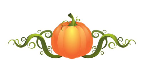 decoration  pumpkin  vegetable