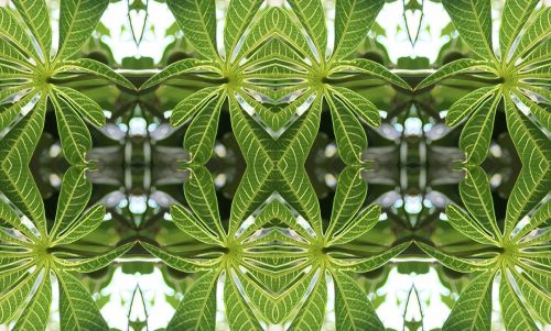 Decorative Leaf Pattern Repeat