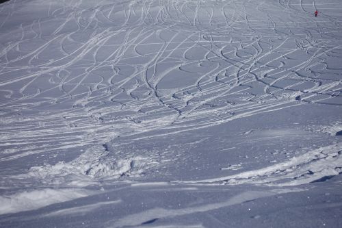 deep snow backcountry skiiing traces