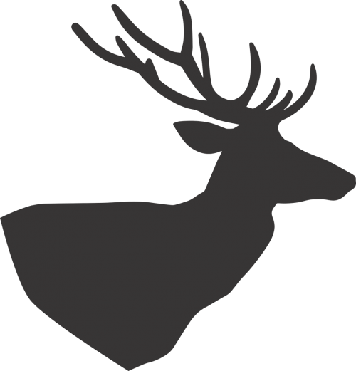 deer deer silhouette silhouette