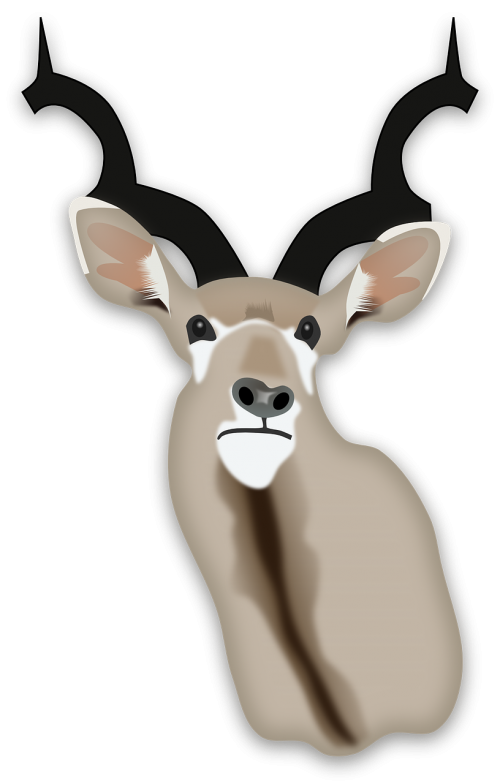 deer animal africa